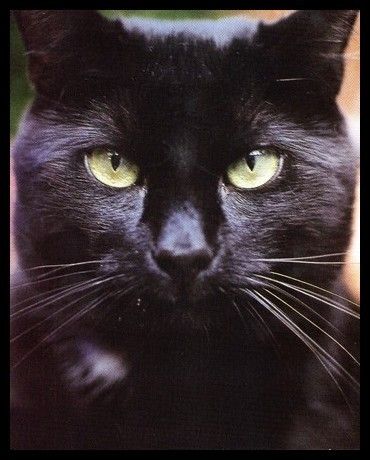 Noir comme le soir ...